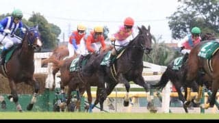 【東京JS】スズカハービンがレコードVで障害重賞初制覇…断然人気ジューンベロシティ敗れる