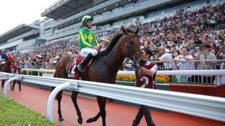 【QE2世ジュビリーS】サトノレーヴ＆ルガル順調…世界の強豪撃破へ日本馬2頭が最終調整