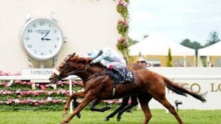 【ハードウィックS】英ジアヴェロットが接戦制す…ゴリアットは鐙外れる不運