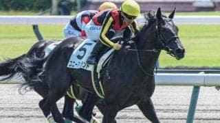 半姉は三冠牝馬のリバティアイランド コニーアイランドが2勝目なるか