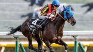 【府中牝馬S予想】4歳勢中心で今年もいける？ 過去データから探るGIII府中牝馬S