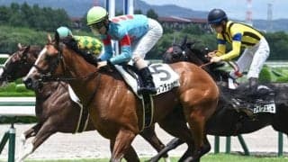 【阪神5R新馬戦結果】インディチャンプ産駒トップチェッカーが追い比べを制してV