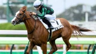 【函館5R新馬戦結果】タワーオブロンドン産駒フェリチタが逃げ切り快勝