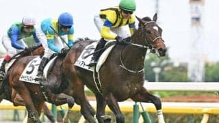 【東京5R新馬戦結果】7番人気アヴィアトーレが逃げ切り勝ち シスキン産駒