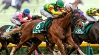 【しらさぎS・馬体重】エコロアルバは476kg(-4)、ファーヴェントは512kg(-2)