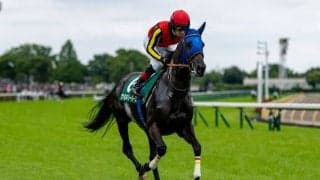 【府中牝馬S】伸びを欠いて完敗…1番人気ヴァルキリーバースは14着