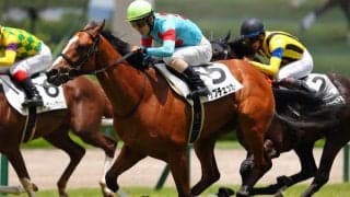 【新馬/阪神5R】インディチャンプ産駒トップチェッカーがデビューV