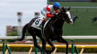 【東京6R】4億円ホース・ダノンアスコルティが待望の初勝利