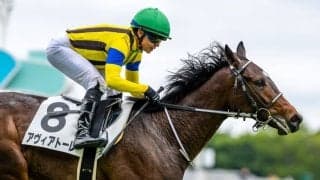 【新馬/東京5R】7番人気アヴィアトーレが逃げ切り波乱…断然人気ラガリーガは8着敗退