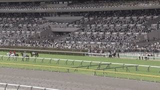 「涙止まらん」競走馬時代から活躍の“イケメン細マッチョ”誘導馬が引退 首元には“粋な飾り”も…ファン感謝と労いの声「ありがとう」