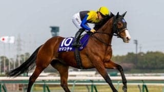 【さきたま杯】武豊ママコチャは8枠11番