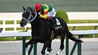 函館記念とラジオNIKKEI賞の2重賞/今週の競馬界の見どころ
