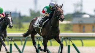 【ラジオNIKKEI賞登録馬】ローベルクランツなど20頭