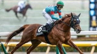【ラジオNIKKEI賞見どころ】機動力で勝負するスカイスプレンダー