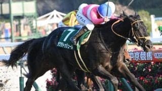 【先週のJRA抹消馬】重賞2勝サクラトゥジュール、芝マイル前後で活躍したロジリオンなど