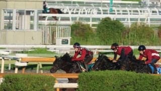 母と同じ松永幹厩舎 GI・4勝ラッキーライラックの仔ラッキースパークル/関西馬メイクデビュー情報