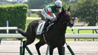 【ラジオNIKKEI賞想定騎手】ローベルクランツは松山弘平騎手、サウンドムーブは団野大成騎手