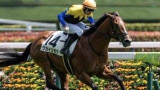 【ラジオNIKKEI賞】半兄は日本ダービー馬マカヒキ クカイリモクが意欲の参戦だ