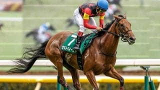 府中牝馬S連覇のセキトバイースト “非サンデー”だからこそのバテない強み