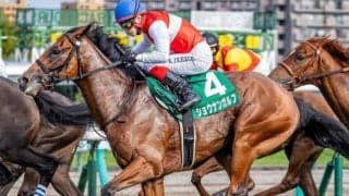 【ラジオNIKKEI賞】重賞ウイナーの戴冠なら34年ぶり！ 札幌2歳S覇者のショウナンガルフが復活なるか