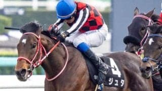 【函館記念】セレクト3.2億円のジュタ 史上最高額のJRA重賞勝ち馬になるか