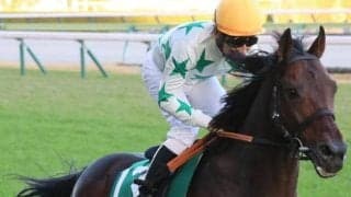 【函館記念】レース史上最高齢Vなるか 9歳アラタが2つ目のタイトル狙う