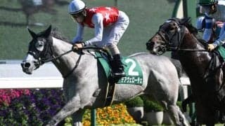 【北九州記念想定】デアヴェローチェ、ヤマニンアルリフラなど12頭