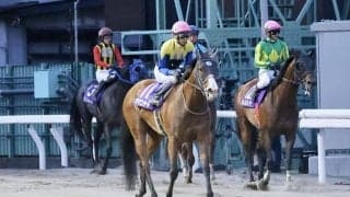 【さきたま杯】武豊「ベストは1200mじゃないかな」二刀流ママコチャは5着まで