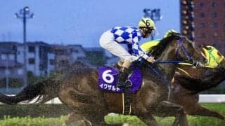 【さきたま杯】矢のような伸びを見せたイグザルトは3着…矢野「いい切れ味を持っています」