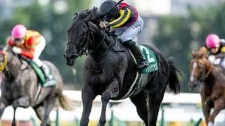 【函館記念出走馬・騎手確定】マジックサンズ＆横山和生騎手、エコロディノス＆池添謙一騎手など15頭