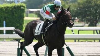 【ラジオNIKKEI賞出走馬・騎手確定】ローベルクランツ＆松山弘平騎手、サノノグレーター＆田辺裕信騎手など16頭