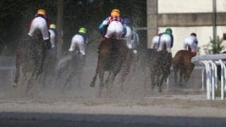 【笠松・撫子争覇結果】9番人気チュウワスプリングが逃げ切りV 3連単283万円超の大波乱