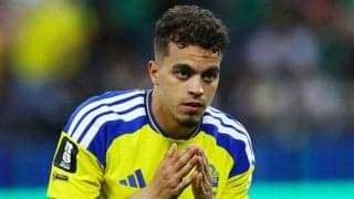 W杯の相手は「父の祖国」　敬意払った22歳　スウェーデンのアヤリ