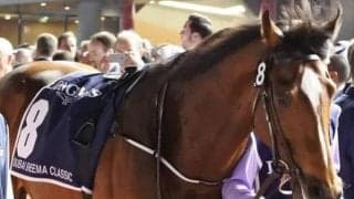ハイランドリール産駒がJRA初勝利なるか ライーリーアースが初陣だ