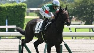 【ラジオNIKKEI賞枠順確定】ローベルクランツは6枠12番、サノノグレーターは7枠13番
