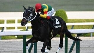 【函館記念枠順確定】エコロディノスは7枠12番、マジックサンズは3枠4番
