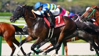 重賞2勝馬カンチェンジュンガが登録抹消…阪神競馬場で第二の馬生へ