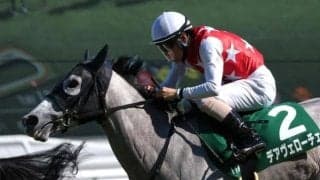 【北九州記念想定馬・騎手】デアヴェローチェ、ヤマニンアルリフラなど12頭