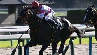 今週の武豊騎手は10鞍 ケイアイセナで函館記念の13年ぶり2勝目なるか