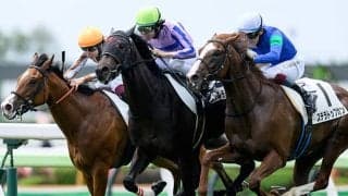 【函館5R新馬戦結果】エフフォーリア産駒アゴルディーノが馬群を割ってV