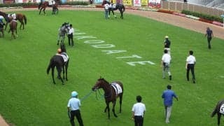 【JRA・WIN5】本日のWIN5は的中524票、配当57万5060円