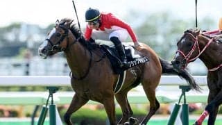 【青函S結果】3歳牝馬ブラックチャリスが接戦を制す