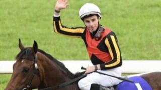 新種牡馬ステルヴィオの産駒がJRA初勝利なるか ピリナカピリナに注目だ