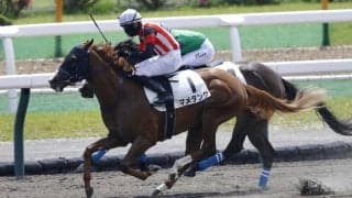 【函館8R】マメタンクがレコードV！26年ぶり函館ダート1000mコースレコード更新
