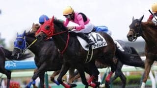 【函館4R】ブラストワンピースの半弟・アイムインが初勝利…大外一気で豪快に差し切る