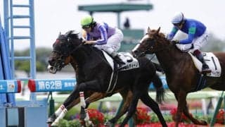 【新馬/函館5R】好調エフフォーリア産駒！アゴルディーノがデビューV…早くも産駒4頭目の勝ち上がり