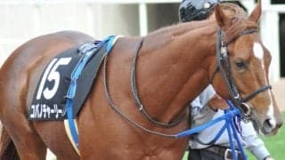 JRA現役で唯一のコパノチャーリー産駒 カゴシマがデビュー勝ち狙う