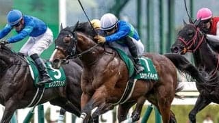 ラジオNIKKEI賞は1枠が好成績 短縮組にも注目