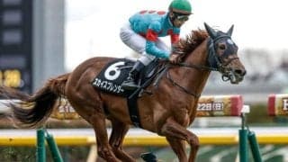 【ラジオNIKKEI賞予想】波乱含みの3歳重賞 ロングスパート性能問われる福島のハンデ戦