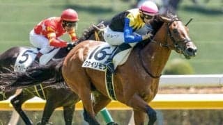 【ラジオNIKKEI賞予想】荒れるレースにも妙味傾向あり!? 過去データで探るラジオNIKKEI賞